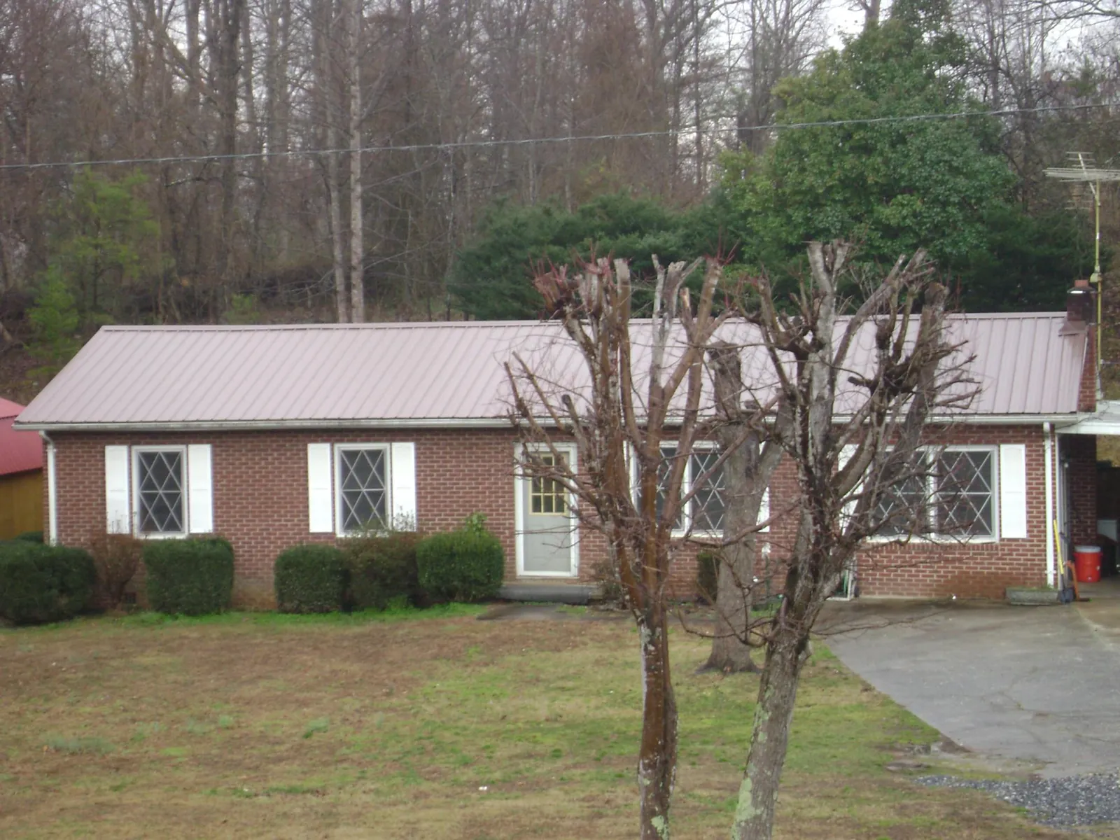 Mauve metal roof on a brick ranch home behind bare trees in Seminole