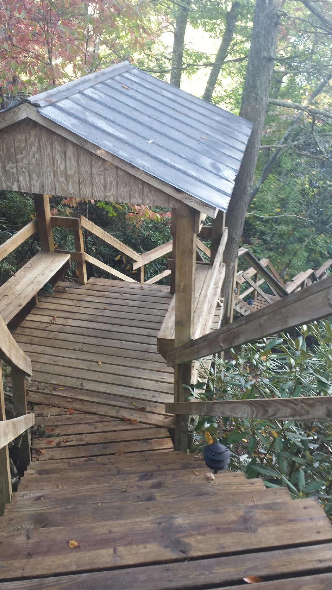 Metal roofed shelter over wooden steps on a wooded walkway — Skylight Repair & Installation work by our crew in Seminole